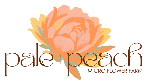 pale & peach 