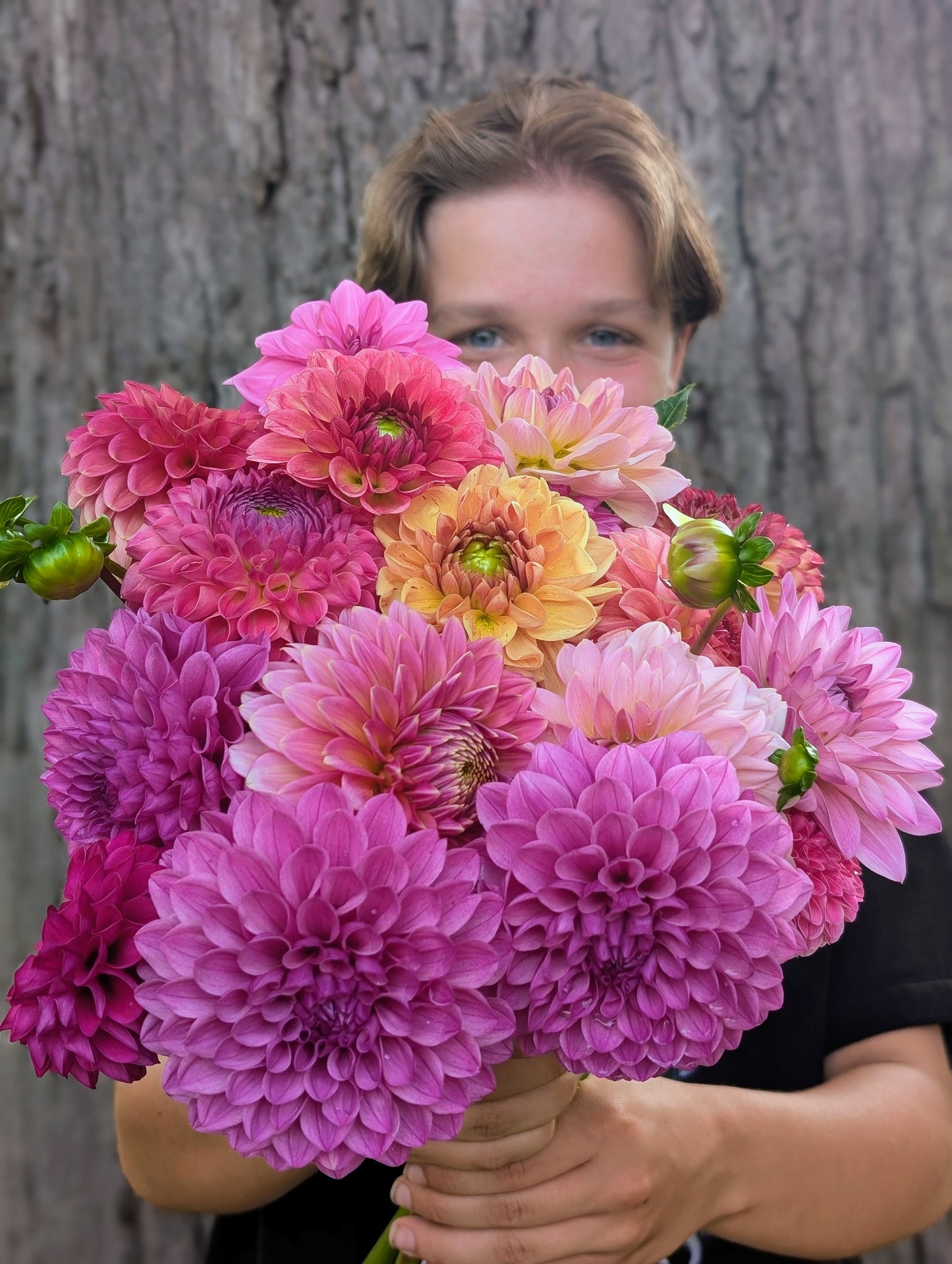 Lee's Flute Loop Lilac (LIMIT ONE)