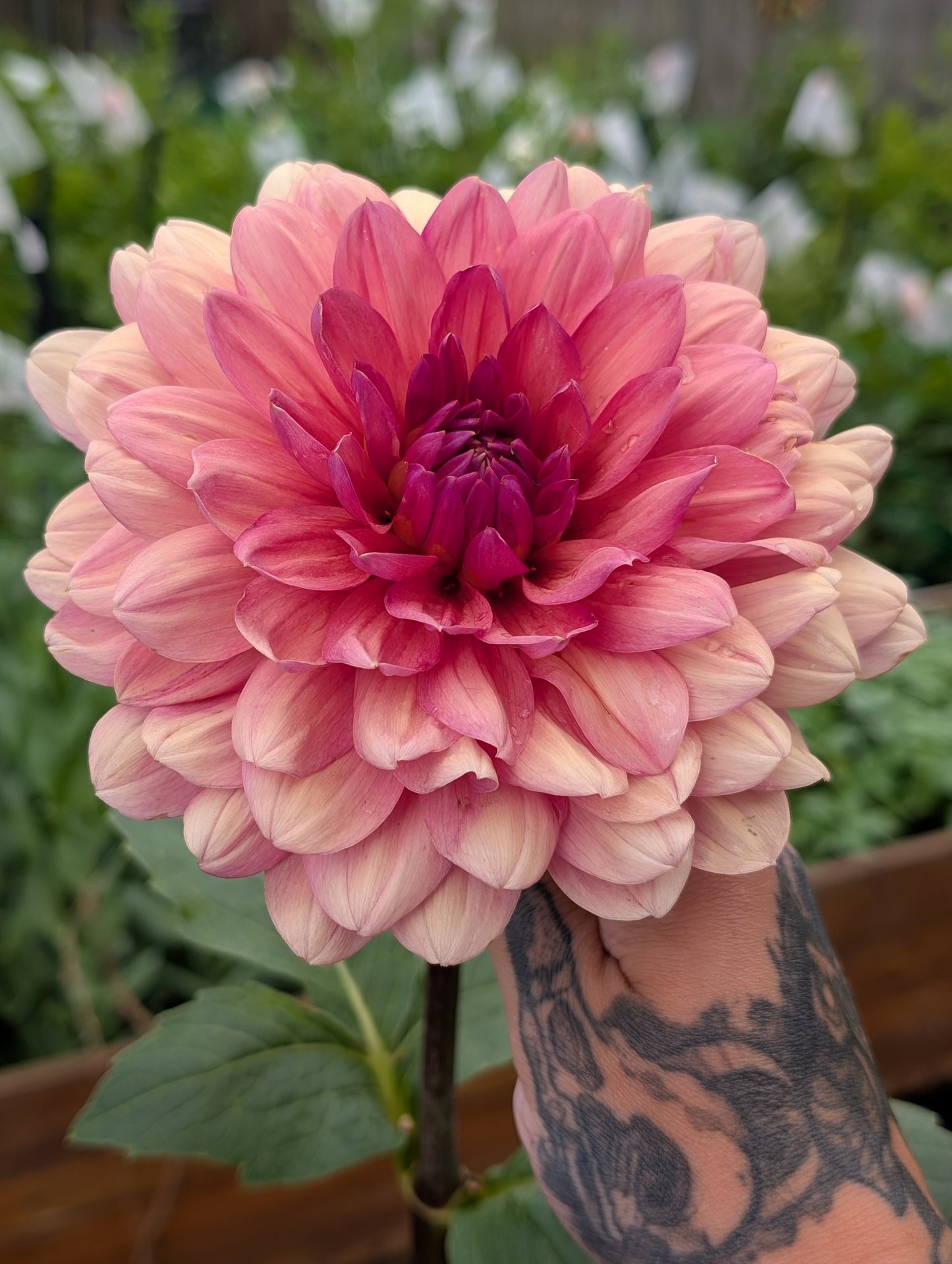 Chateau De La Bourdaisiere (Limit ONE)