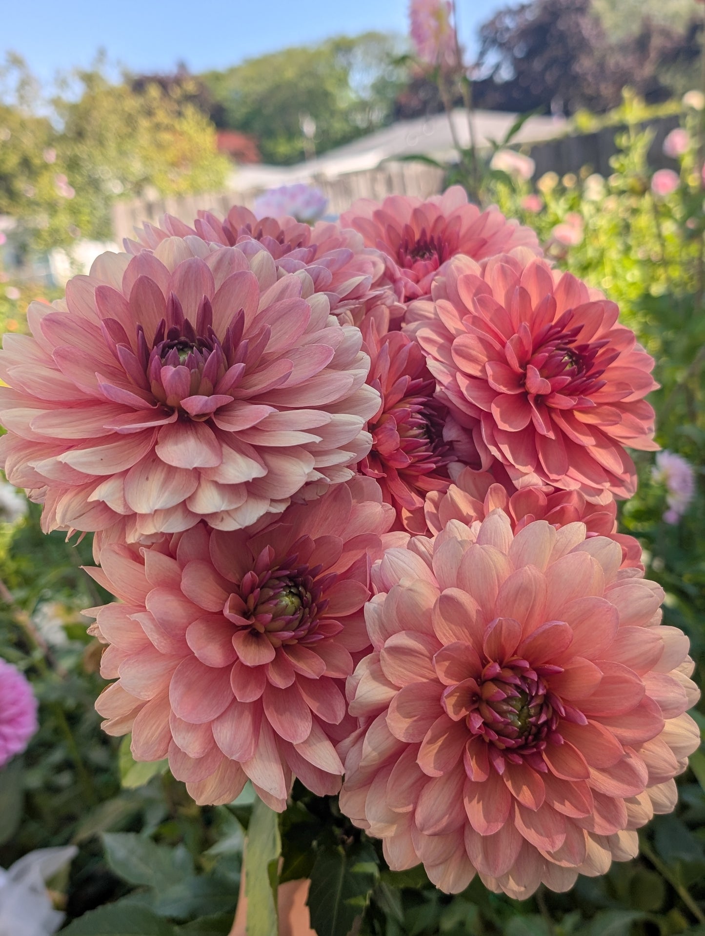 Chateau De La Bourdaisiere (Limit ONE)