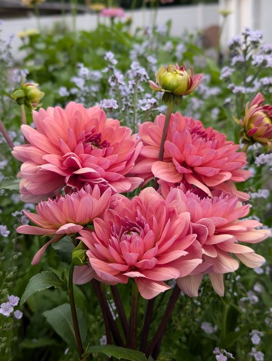 Chateau De La Bourdaisiere (Limit ONE)